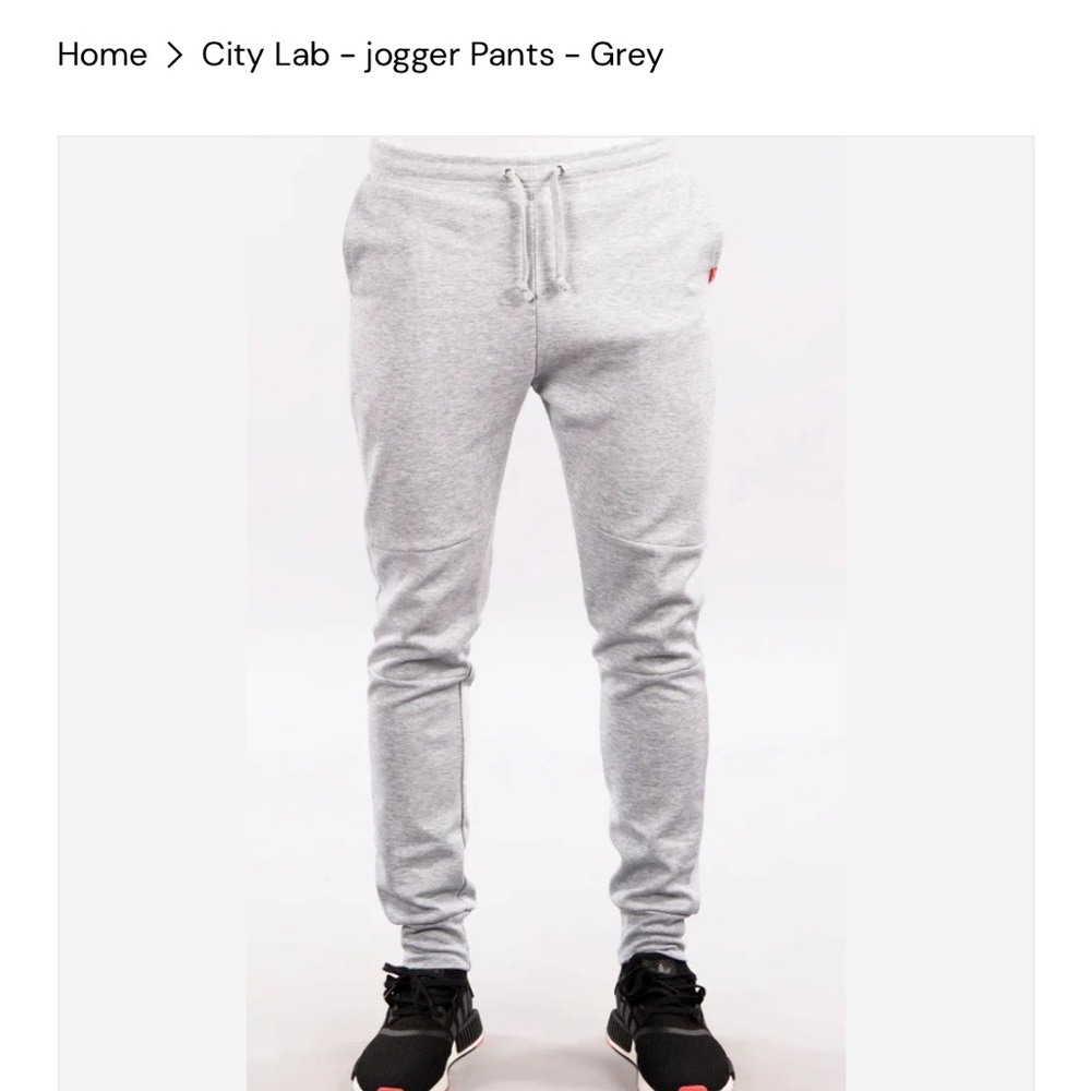 CityLab Men's Grey Jogger Pants